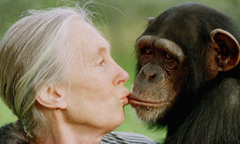 habeas corpus Jane-Goodall