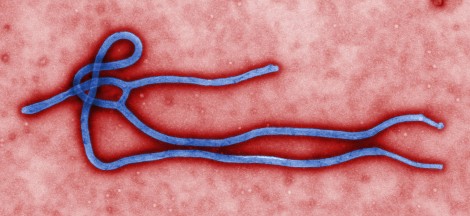 Ebola OMS dictature mondiale peur fièvre 