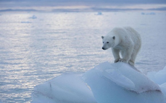 Scandale scientifique ajustement temperatures peur rechauffement fonte des glaces Arctique