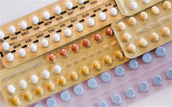 UCLA pilule contraceptive structure cerveau comportement