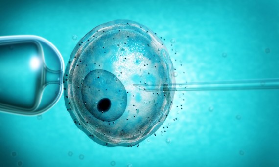 chercheurs britanniques demandé permission modifier gènes embryons humains