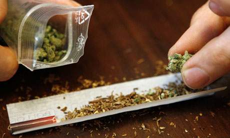 cannabis essor Canada France jeunes usage