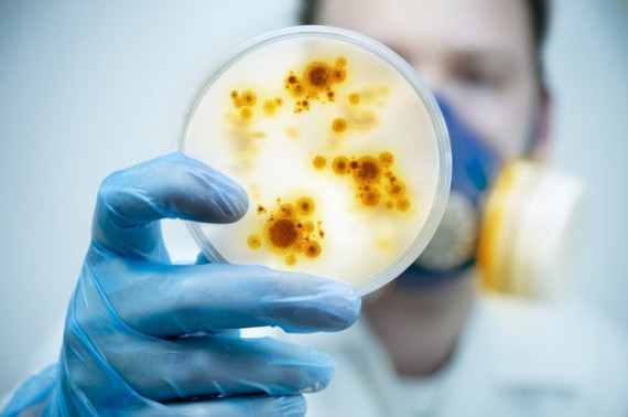 Négligence sanctions laboratoires CDC pathogènes bioterroristes