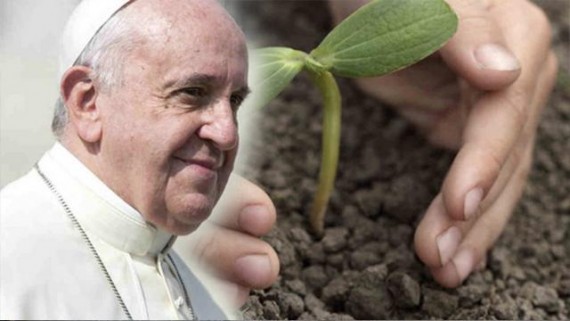 Péchés examen conscience écologiques pape François changer catéchisme