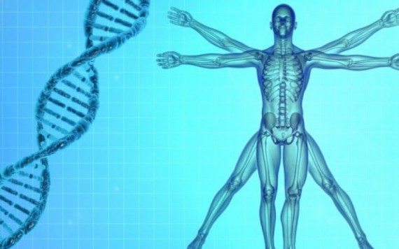 biologie synthèse écrire premier génome humain