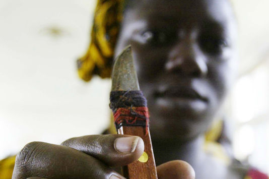 30 taux augmentation mutilations génitales femmes Allemagne chiffre