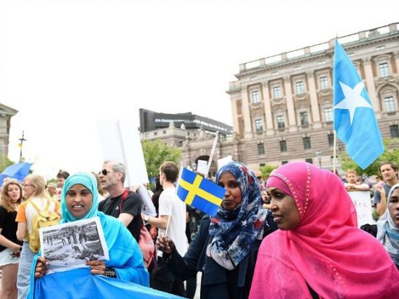 Suède livre Sanandaji immigration