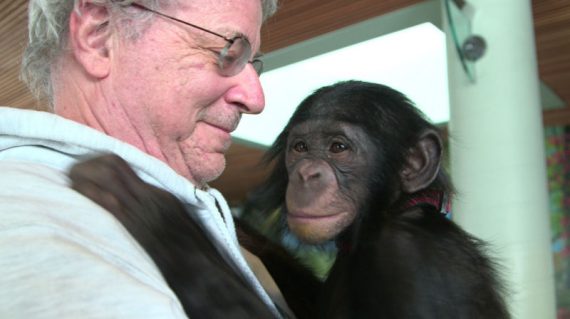 libérer chimpanzés personnes non humaines