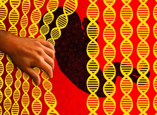 embryon CRISPR Cas9 ingénierie génétique eugénisme