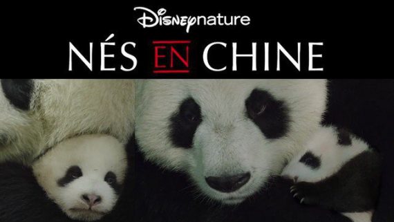Nés Chine Documentaire enfants film