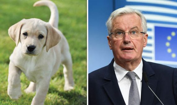 Brexit Michel Barnier menace propriétaires animaux compagnie