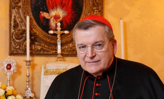 cardinal Burke confusion division Eglise nouvel entretien