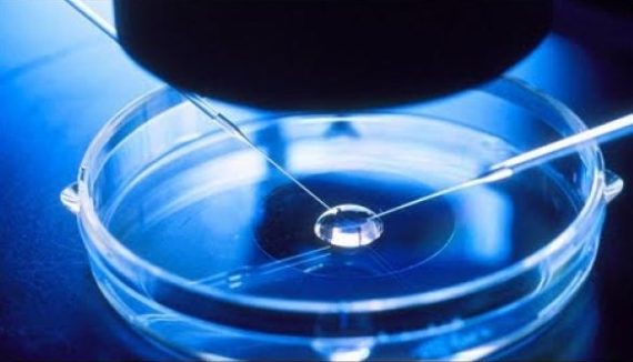technique fécondation vitro sélectionner embryons implanter