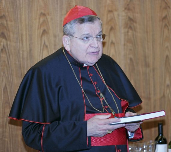 Le cardinal Burke Nouvelle-interview-cardinal-Burke-pape-Fran%C3%A7ois-augmente-confusion-e1523030279676
