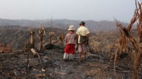 La déforestation, problème politique