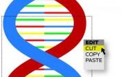 Les CRISPS et la chirurgie du gène