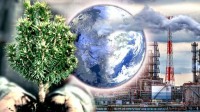 CO2 Atmosphere Erreur Plantes Absorbent