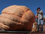 La photo : Record de citrouille géante