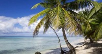 Les dérives de l’aide au développement : des centaines de millions transitent par les paradis fiscaux