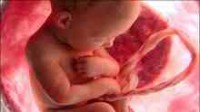 Etats-Unis : les Républicains évoquent à tort le viol pour retirer leur loi d’interdiction des avortements tardifs