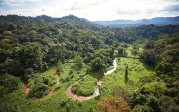 Honduras : Une cité perdue découverte dans la jungle
