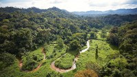 Honduras cite perdue jungle