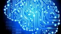 Intelligence artificielle ? Le fonctionnement d’internet ressemble à celui du cerveau, selon des chercheurs de l’USC