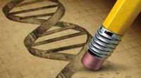 Manipulations génétiques en Chine : des chercheurs de l’université Sun Yat-sen annoncent avoir modifié le génome d’embryons humains