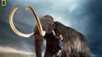 Des chercheurs sud-coréens tentent de cloner un mammouth vieux de 40.000 ans