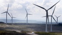 Royaume-Uni : plus de parcs d’éoliennes sans accord de la population locale, promet Amber Rudd, nouvelle Secrétaire à l’Energie