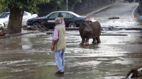 Innondations Tbilissi georgie 2