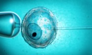Des chercheurs britanniques ont demandé la permission de modifier les gènes d’embryons humains