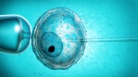 Des chercheurs britanniques ont demandé la permission de modifier les gènes d’embryons humains