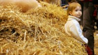 Une nouvelle piste de prévention de l’asthme : la poussière des fermes en protège les enfants