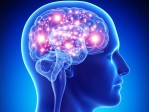 Bioéthique et manipulation de la mémoire : Matthew Liao voit dans le cerveau humain la « nouvelle frontière »