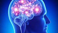 Bioéthique et manipulation de la mémoire : Matthew Liao voit dans le cerveau humain la « nouvelle frontière »