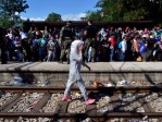 De plus en plus de très jeunes filles mariées arrivent parmi les « migrants » en Europe