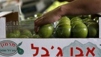 L’Europe ordonne l’étiquetage des produits en provenance d’Israël