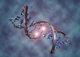 Des êtres humains pourraient être génétiquement modifiés dans moins de deux ans, selon Editas Medicine