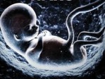 Avortement : le magazine “Elle” dénonce “Newsweek” dont la une montre un foetus qui ressemble « trop » à un bébé