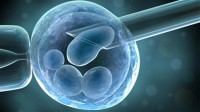 Au Royaume-Uni, des chercheurs s’apprêtent à créer des embryons humains génétiquement modifiés