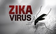 Le virus Zika déclaré « urgence de santé publique de portée internationale » par l’OMS Le virus Zika déclaré « urgence de santé publique de portée internationale » par l’OMS