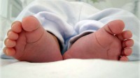 La Grande-Bretagne est le premier pays à légaliser la technique permettant la conception de "bébés à trois parents".