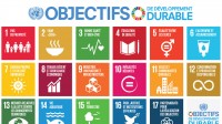 ONU 230 Indicateurs Statistiques Développement durable Monde