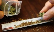 L’usage au cannabis en plein essor au Canada et en France chez les jeunes, selon l’ONU