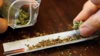 cannabis essor Canada France jeunes usage