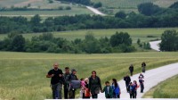 Danemark : attention, un migrant peut en cacher un autre – l’histoire exemplaire de Daham Al Hasan
