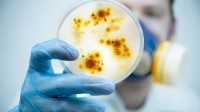 Négligence sanctions laboratoires CDC pathogènes bioterroristes