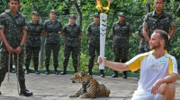 Brésil Jaguar JO Emojis Totalitarisme Bisounours