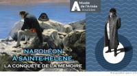 Exposition/HISTOIRE<br>Napoléon à Sainte-Hélène<br>La conquête de la mémoire ♥♥